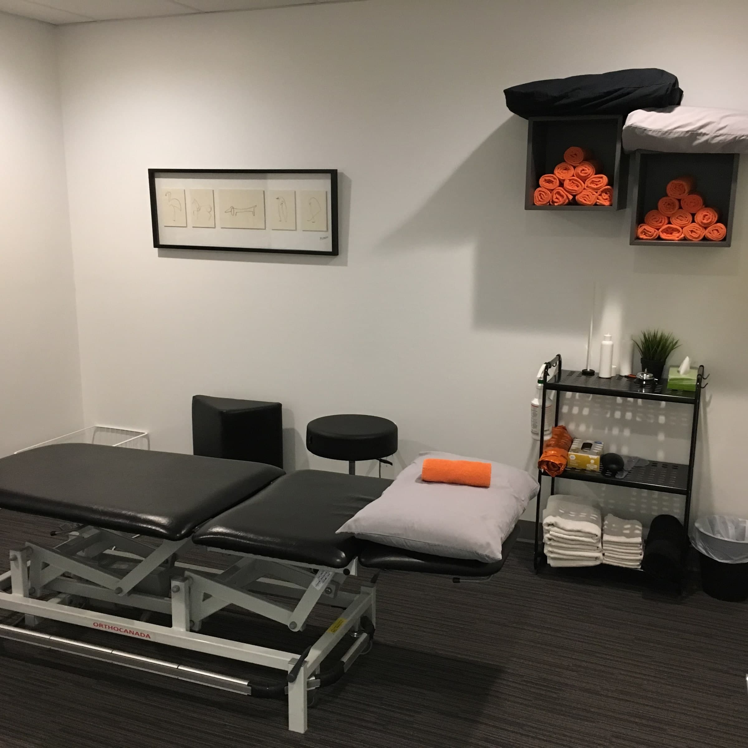 Physiotherapy treatment room with a black and grey adjustable treatment table, a round stool, rolled orange towels in wall shelves, a grey pillow on the table, and a framed line drawing of animals on the wall, Swift Current